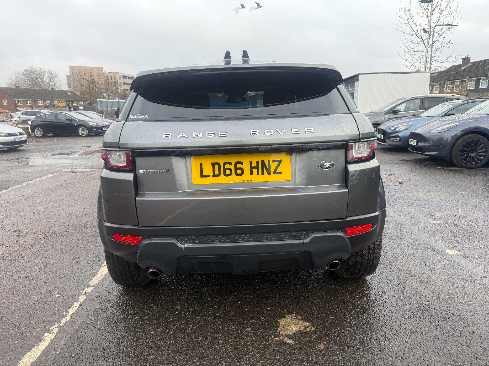 Rear
